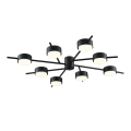 Потолочная люстра PP-6717/8 черная