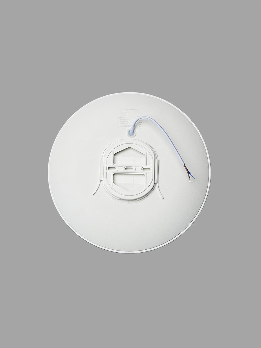 Потолочный светильник круглый PP-2818 White 4000K