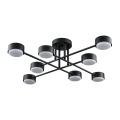 Потолочная люстра PP-6716/8 черная