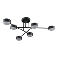 Потолочная люстра PP-6716/6 черная